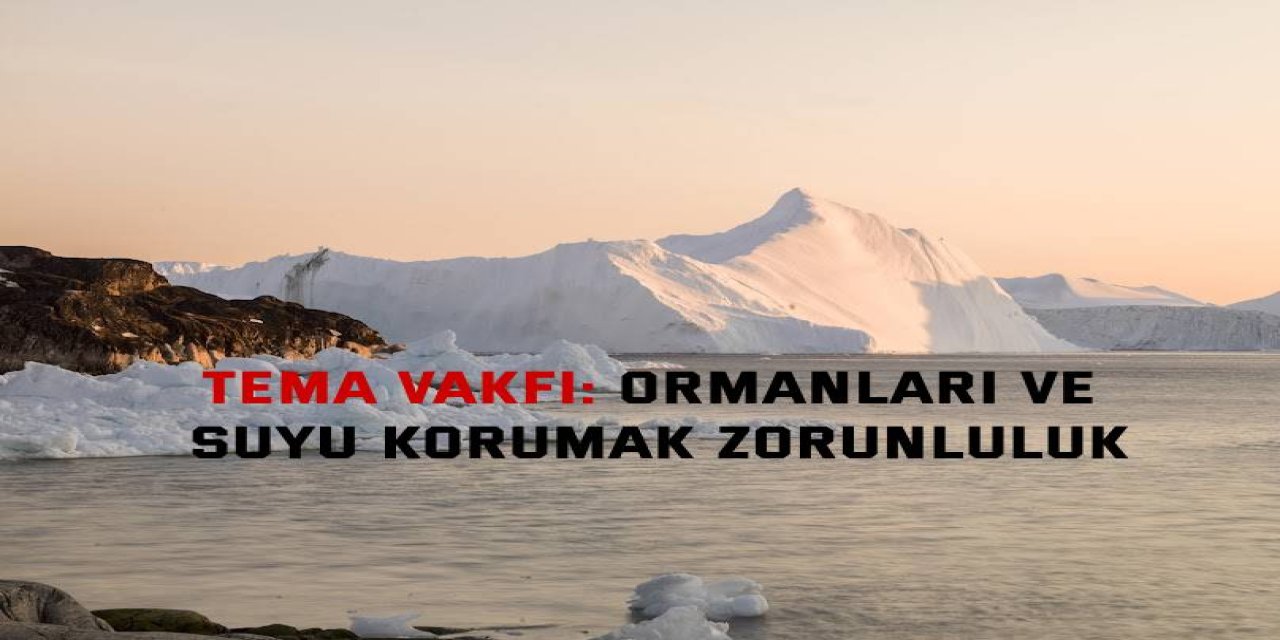 TEMA VAKFI:    Ormanları ve suyu  korumak zorunluluk