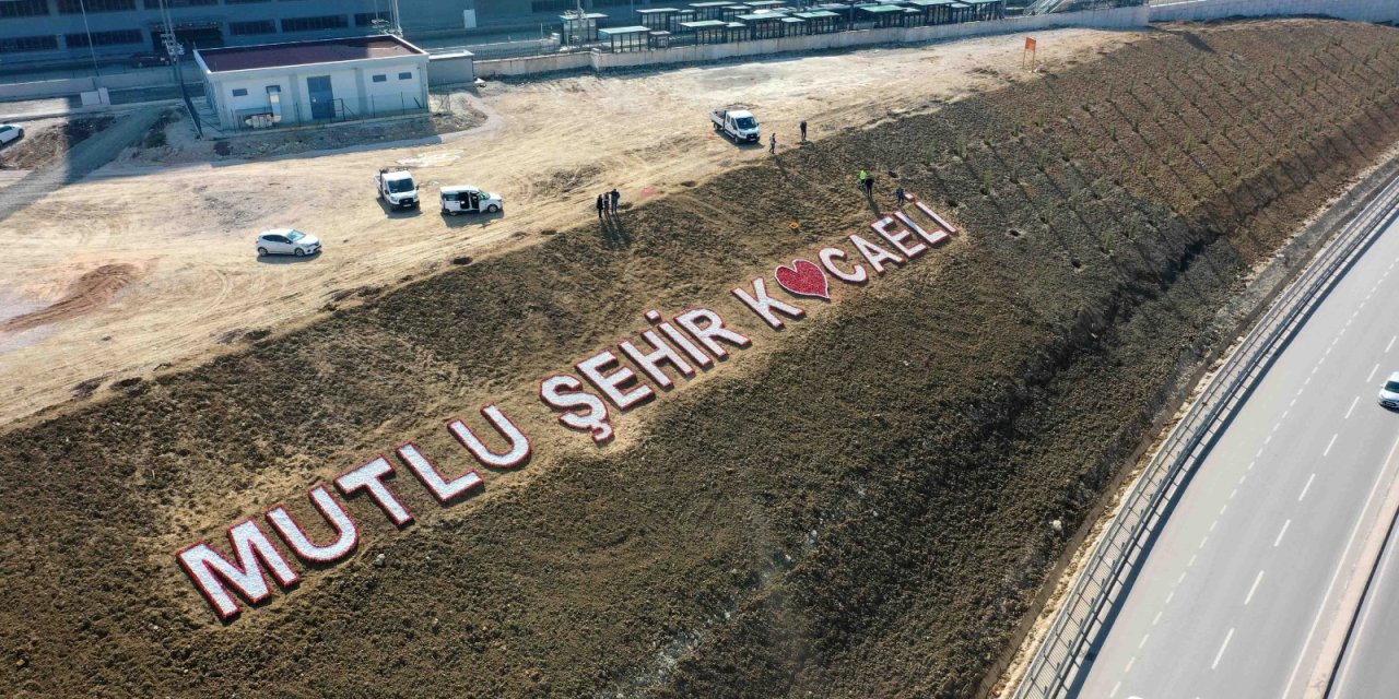 Şehir Hastanesi bağlantı yolu yeşile bürünüyor