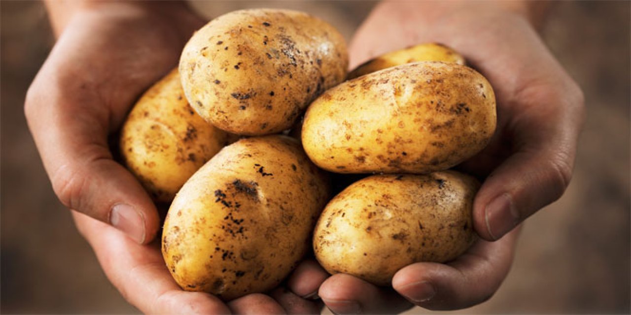 Mart'ta en çok patates pahalandı