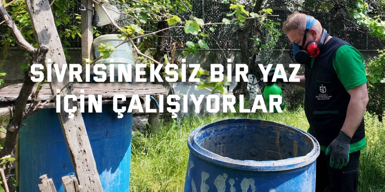 Sivrisineksiz bir yaz için çalışıyorlar
