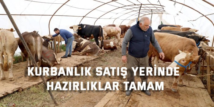 Kurbanlık satış yerinde hazırlıklar tamam