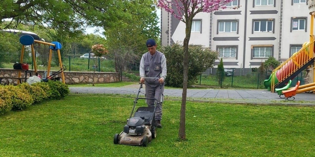 Körfez'de yabani otlarla mücadele
