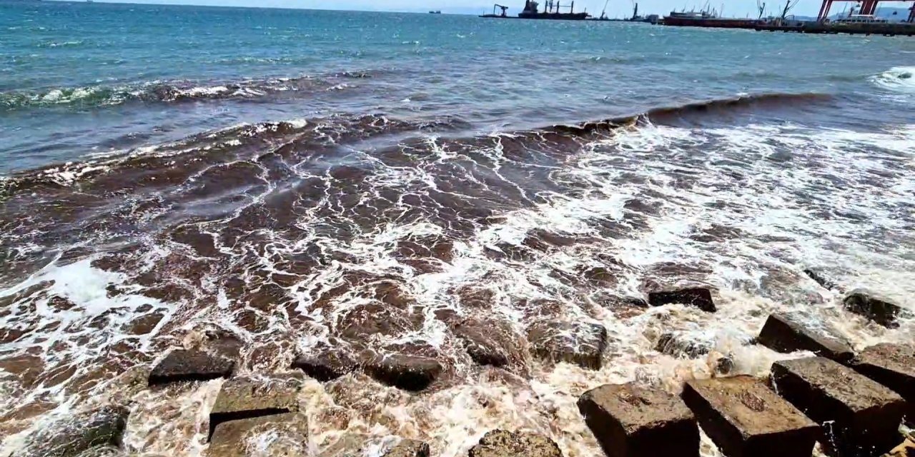 Poyraz sonrası deniz yüzeyi kızıl yosunla kaplandı