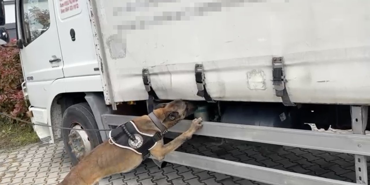 Narkotik köpeği tepki verdi,  binlerce uyuşturucu çıktı