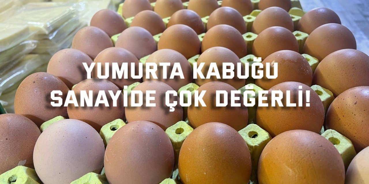 Yumurta kabuğu sanayide çok değerli!