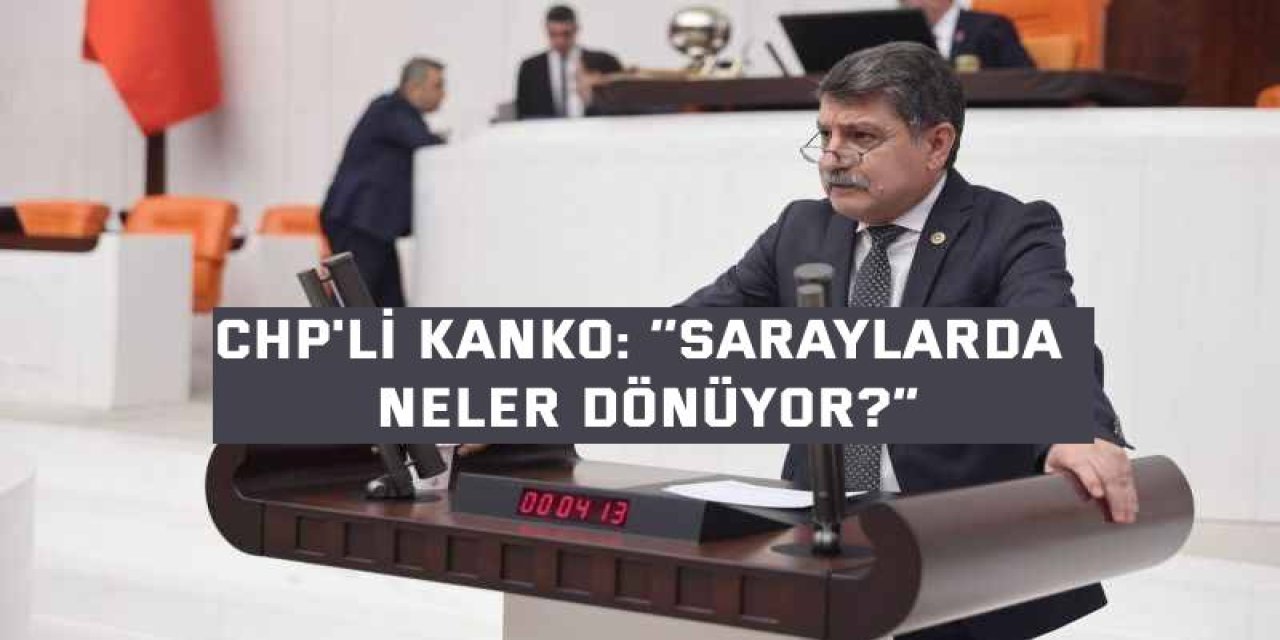 CHP'Lİ KANKO: ‘’Saraylarda Neler Dönüyor?”