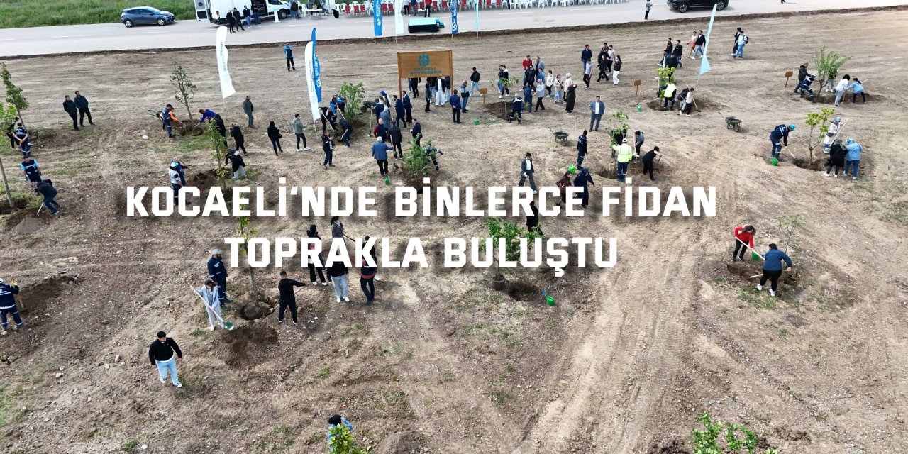 Kocaeli’nde binlerce fidan toprakla buluştu