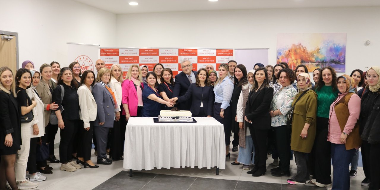 Kocaeli’de “Hemşirelerimiz Geleceğimiz” Paneli
