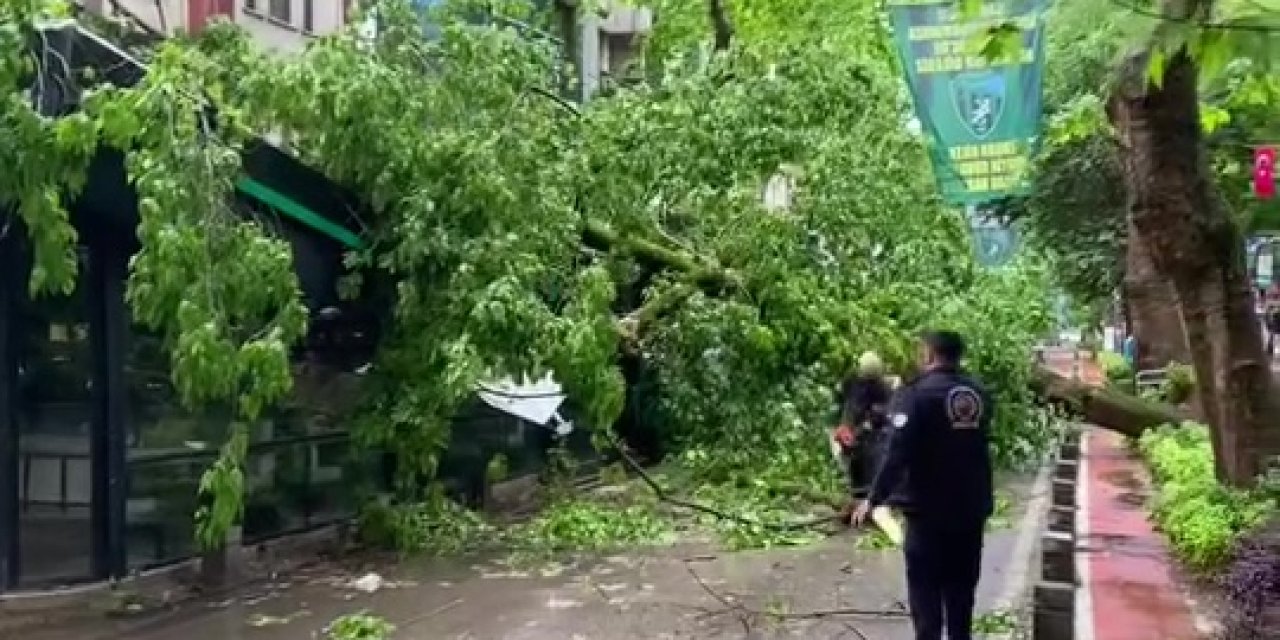 Kocaeli’de 15 Dakikalık Yağmur Hayatı Felç Etti! Ağaçlar Devildi, Direkler Yıkıldı, Elektrikler Kesildi