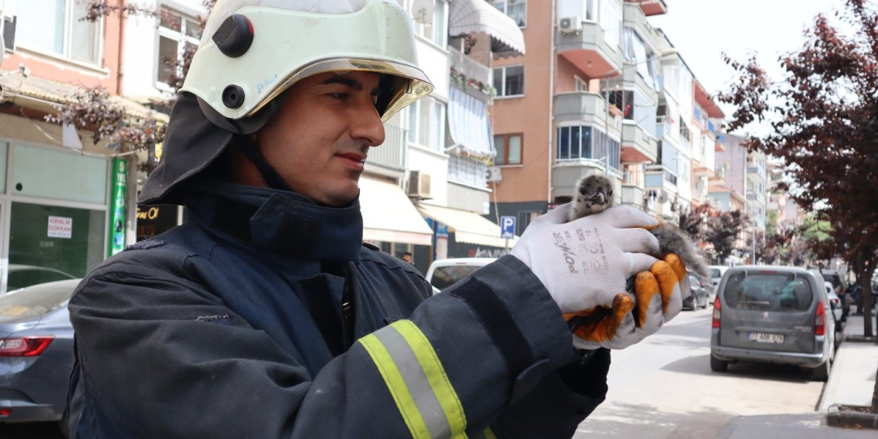 Çatıdan düşen yavru martıyı itfaiye kurtardı