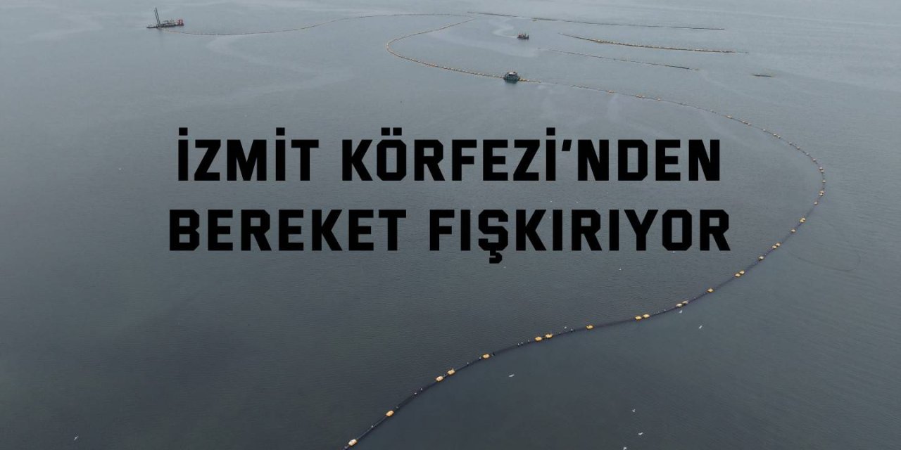 İzmit Körfezi’nden bereket fışkırıyor