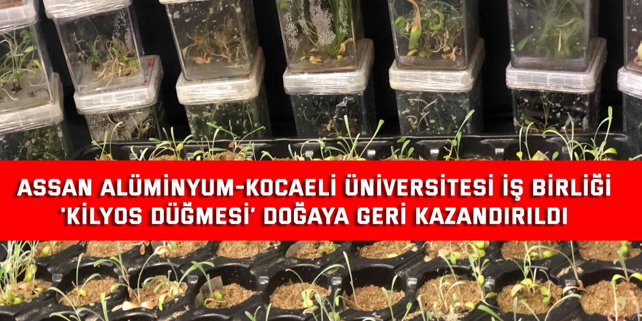 ASSAN ALÜMİNYUM-KOCAELİ ÜNİVERSİTESİ İŞ BİRLİĞİ    'Kilyos Düğmesi’ doğaya geri kazandırıldı