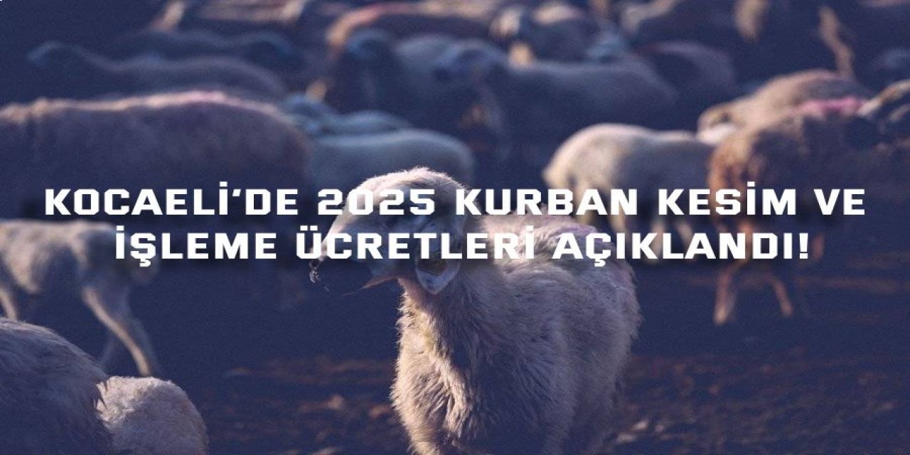 Kocaeli’de 2025 Kurban Kesim ve İşleme Ücretleri Açıklandı!