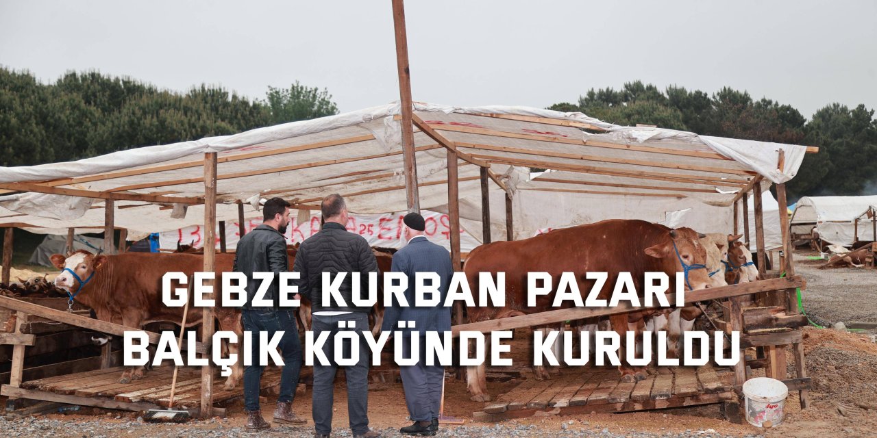 Gebze Kurban Pazarı Balçık Köyünde Kuruldu