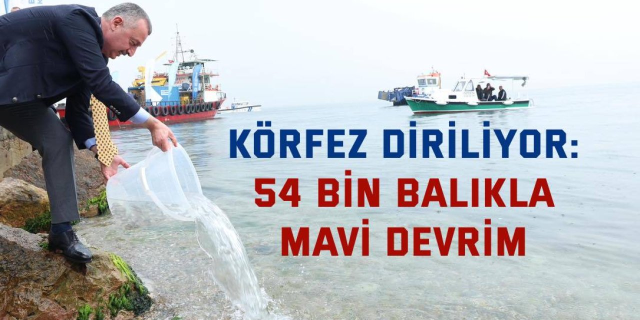 Körfez diriliyor: İzmit'te 54 bin balıkla mavi devrim