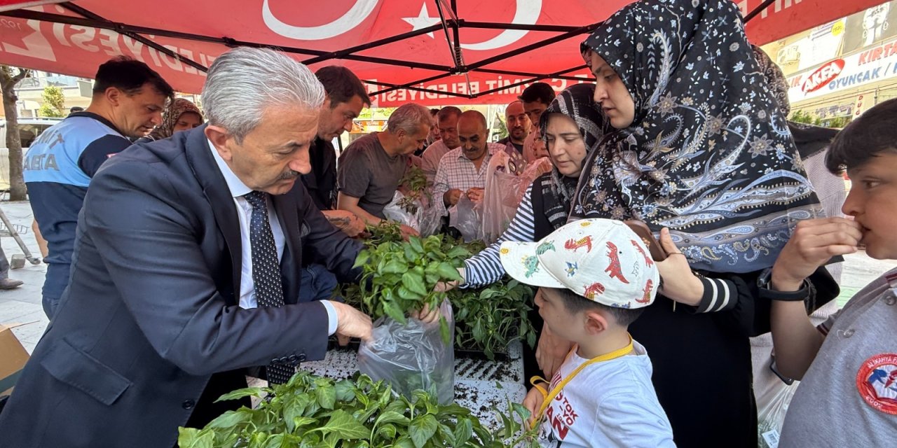 İzmit Belediyesinden halka fide desteği