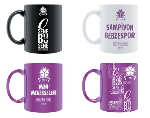 15 Haziran ‘da satışta