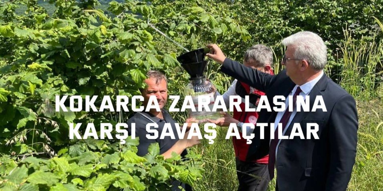 Kokarca zararlasına karşı savaş açtılar