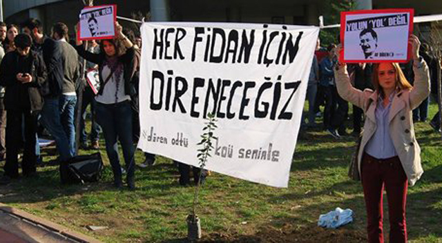 KOÜ'DEN DESTEK FİDANI