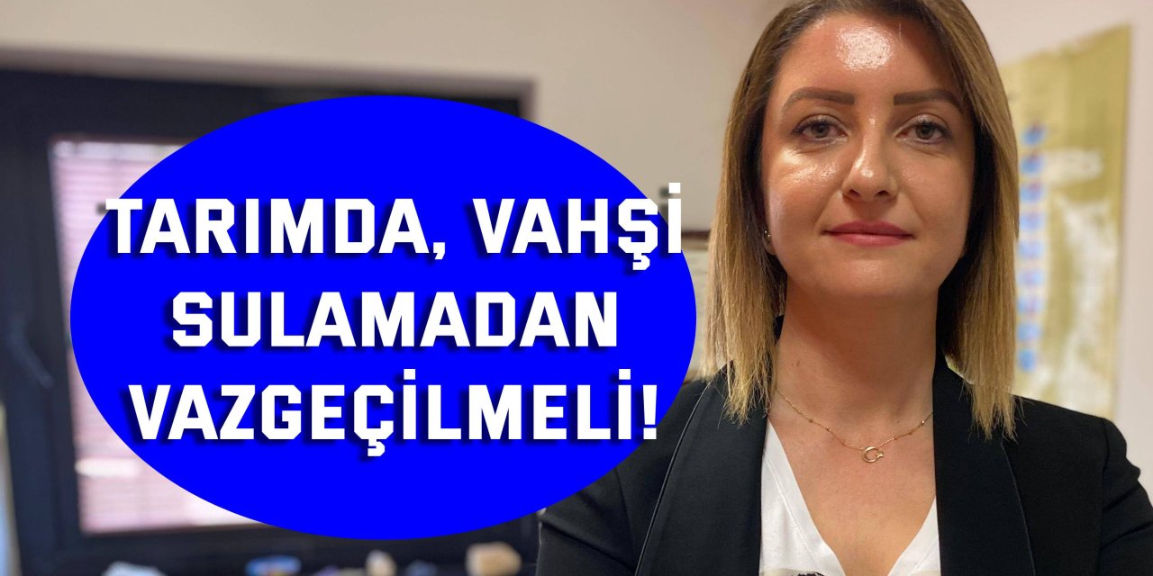 Tarımda, vahşi sulamadan vazgeçilmeli!