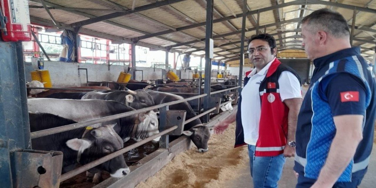 Kurbanların satış ve kesim yerleri mercek altında