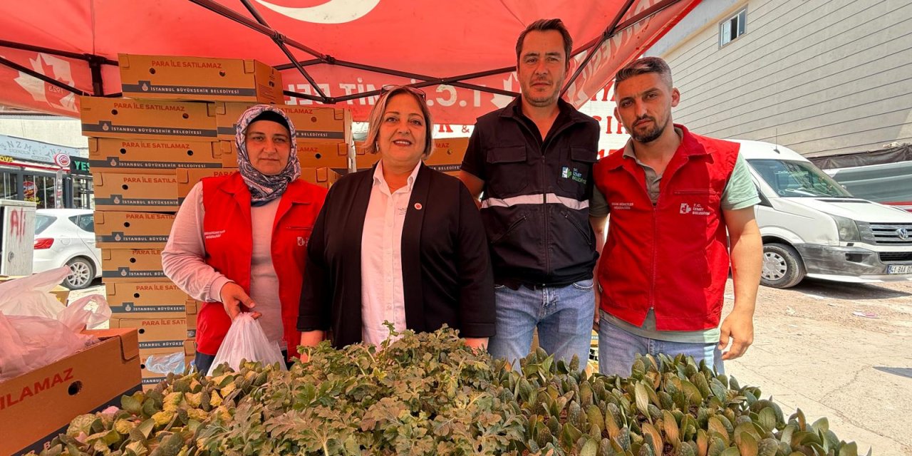 Vatandaşa ücretsiz fide desteği