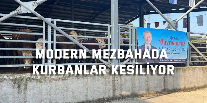 Modern mezbahada kurbanlar kesiliyor