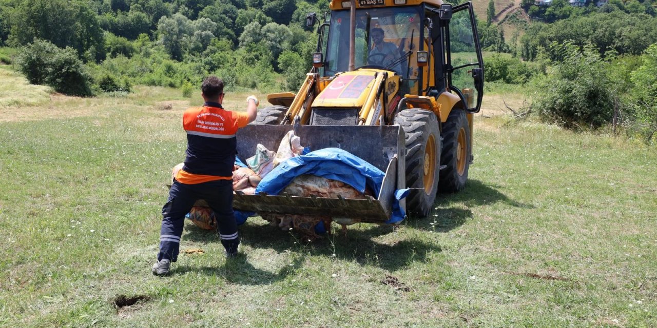 Başiskele'de kurban atıkları toplanıyor