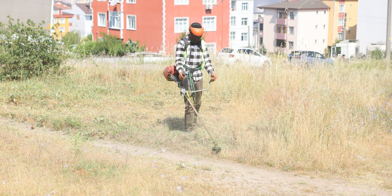 Boş arazilerdeki otlar biçiliyor
