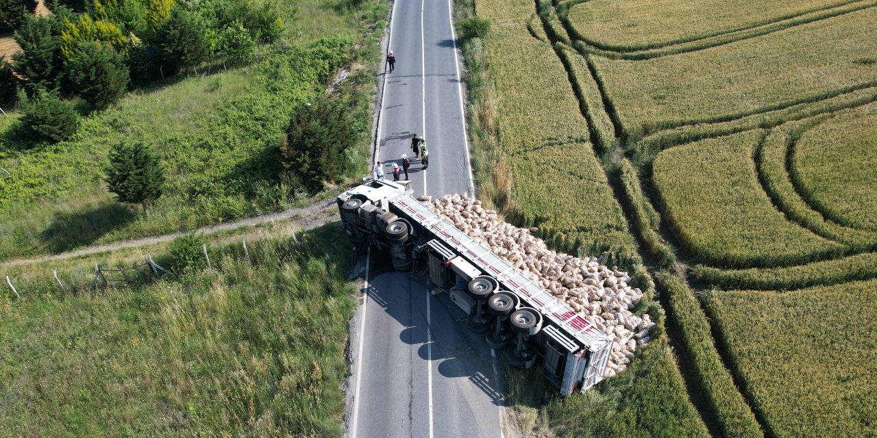 Tonlarca patates tarlaya döküldü