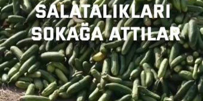 Salatalıkları sokağa attılar
