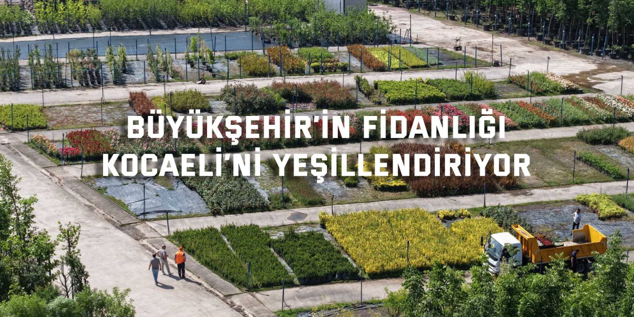 Büyükşehir’in fidanlığı  Kocaeli’ni yeşillendiriyor
