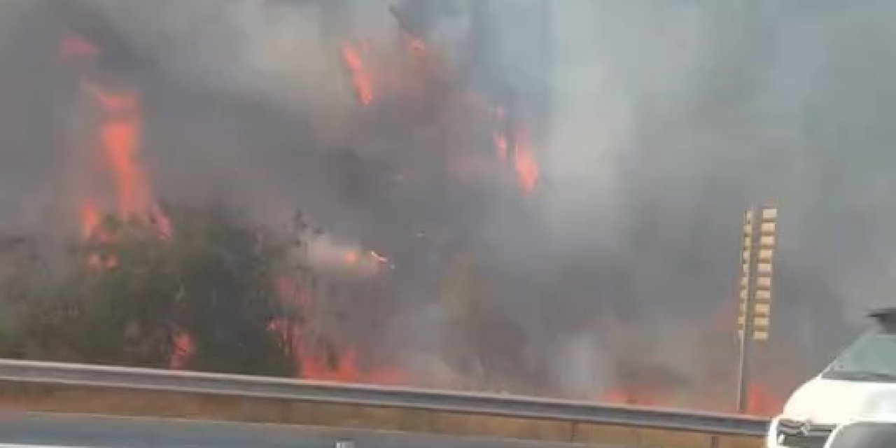 Yangın ormana sıçradı