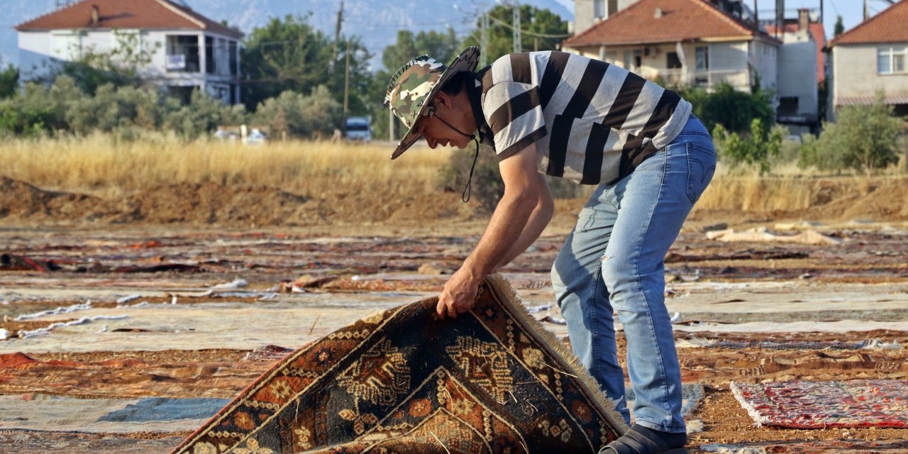 Tarlalarda milyonluk halı nöbeti başladı