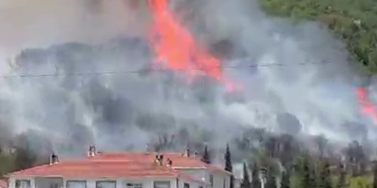Körfez'de Orman Yangını