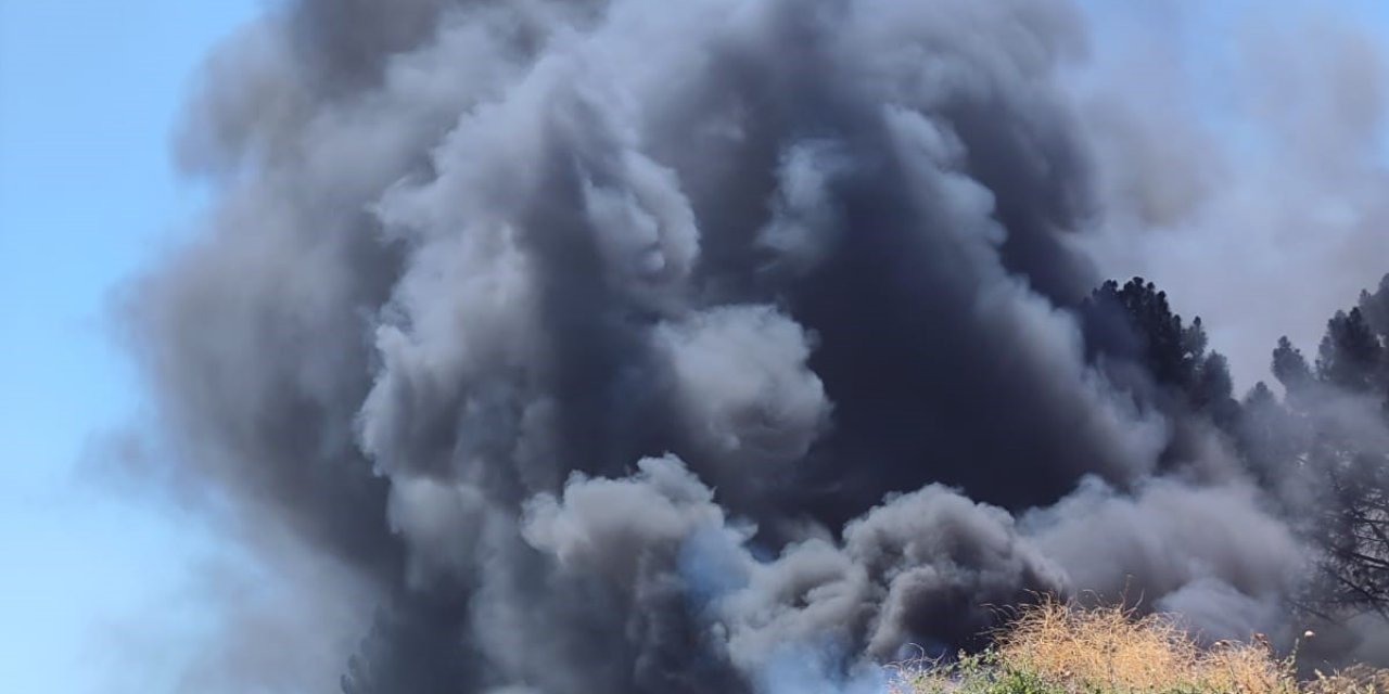 İzmit'te ağaçlık alan yangını