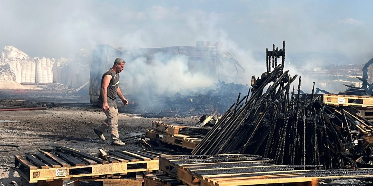Çıkan yangında paletler kül oldu