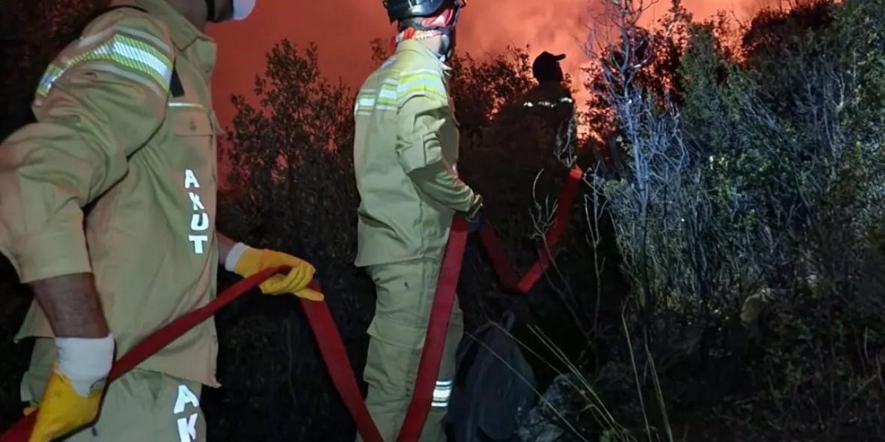 AKUT ekibi yanmak üzere olan hayvanları kurtardı