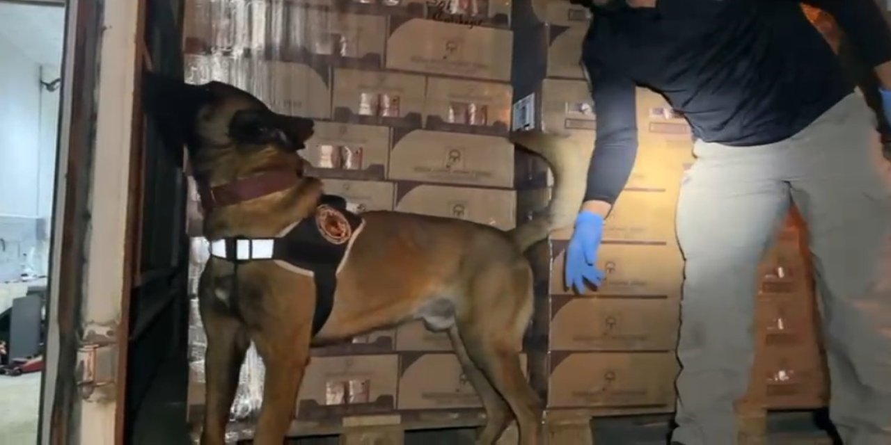 Yasal yükün altından kokain çıktı