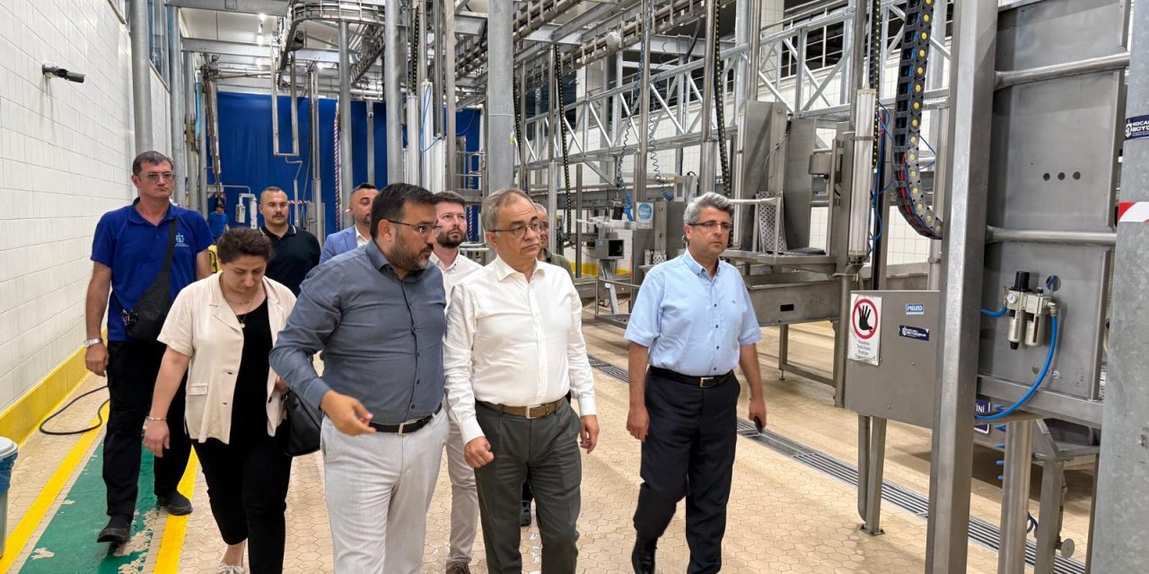 Karamürsel’de yerinde inceleme