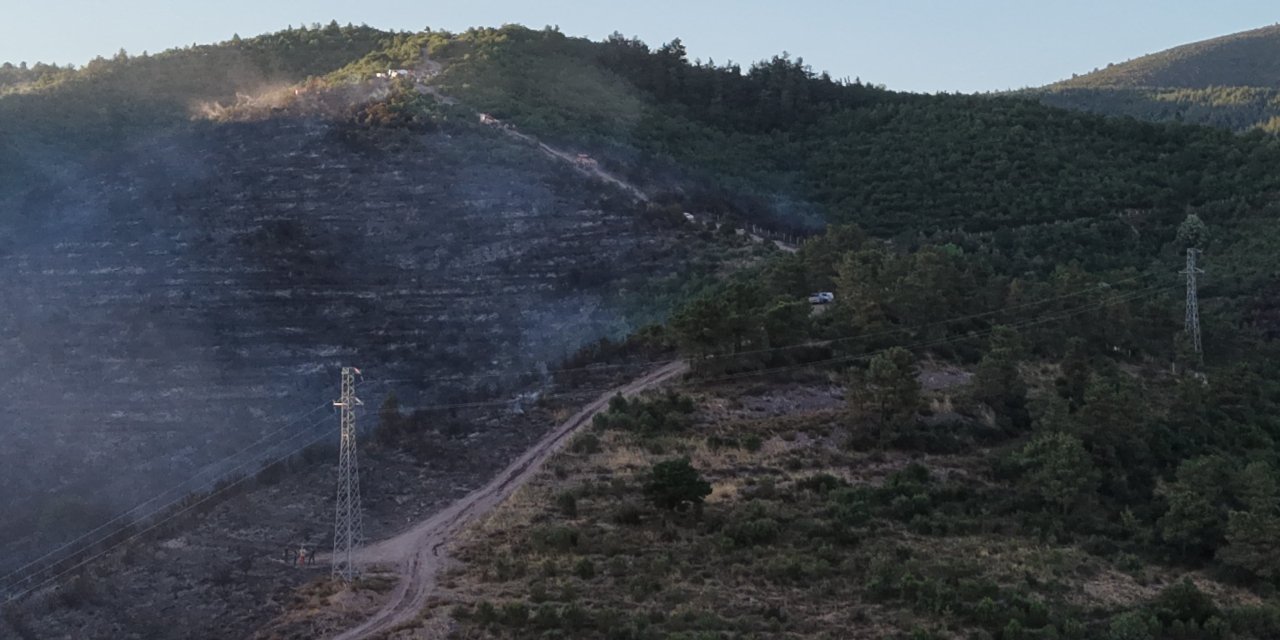 Kocaeli'deki orman yangını söndürüldü