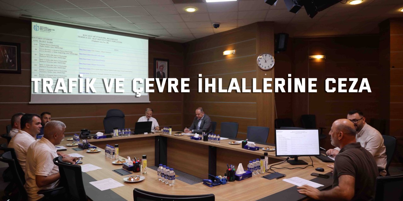 Trafik ve çevre ihlallerine ceza