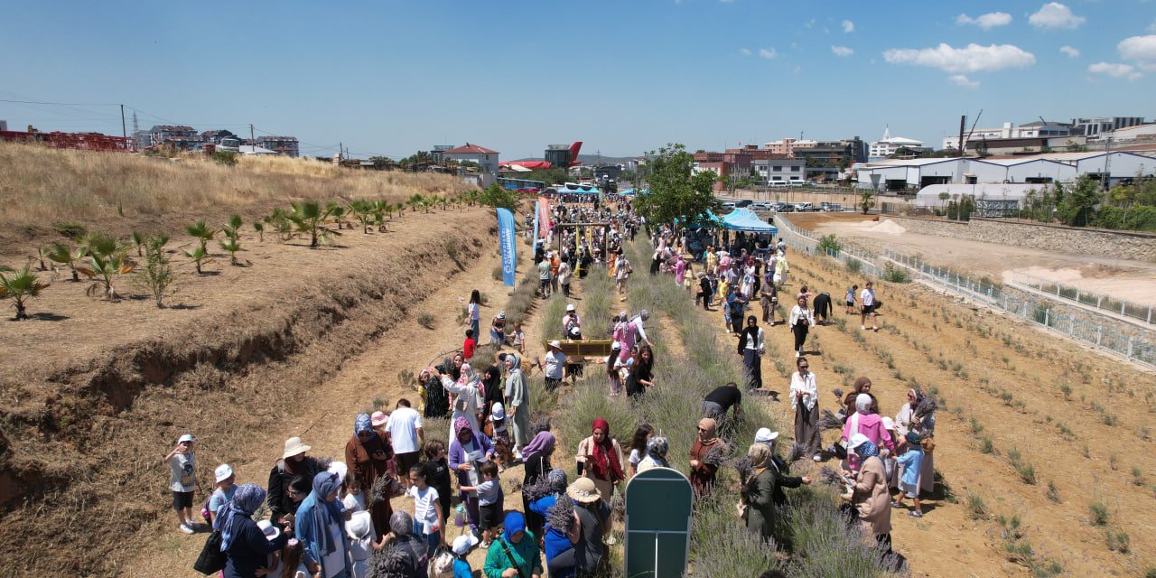 Çayırovalılar, lavanta hasadında bir araya geldi