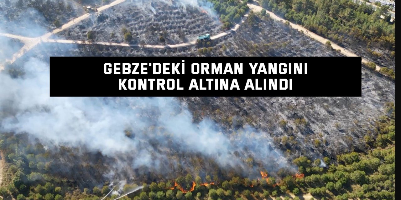 Gebze'deki orman yangını kontrol altına alındı