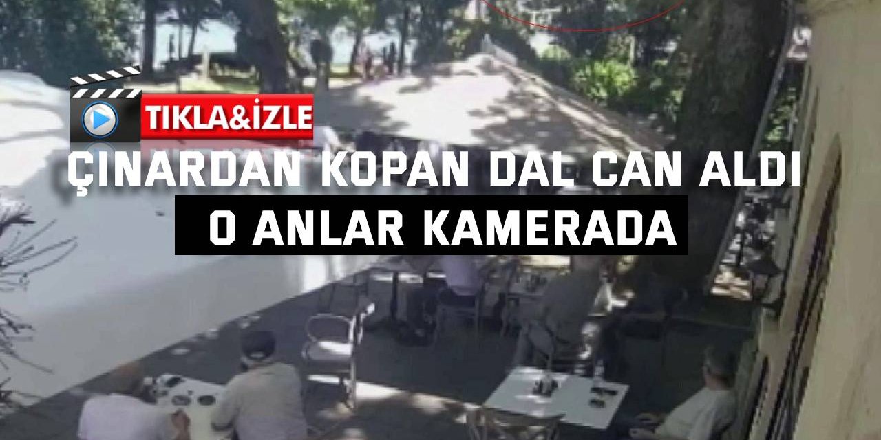 Çınardan kopan dal can aldı: O anlar kamerada