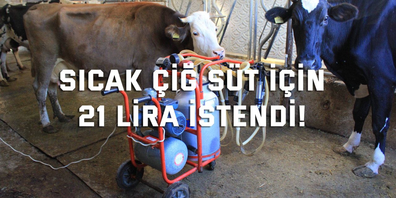Sıcak çiğ süt için  21 lira istendi!