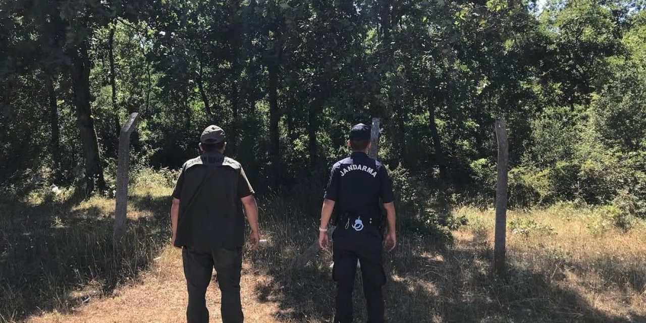 Dilovası’nda ormanlarda sıkı denetim
