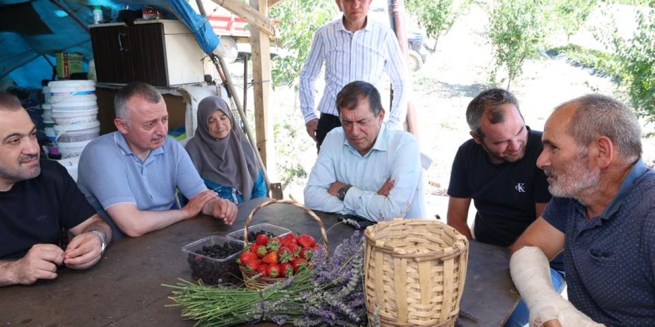 Büyükakın çilek hasadına katıldı