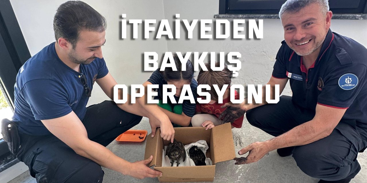 İtfaiyeden baykuş operasyonu