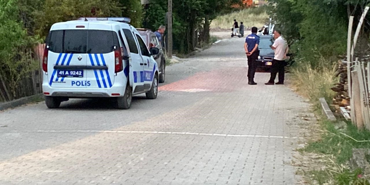 Üvey oğlunu göğsünden bıçakladı